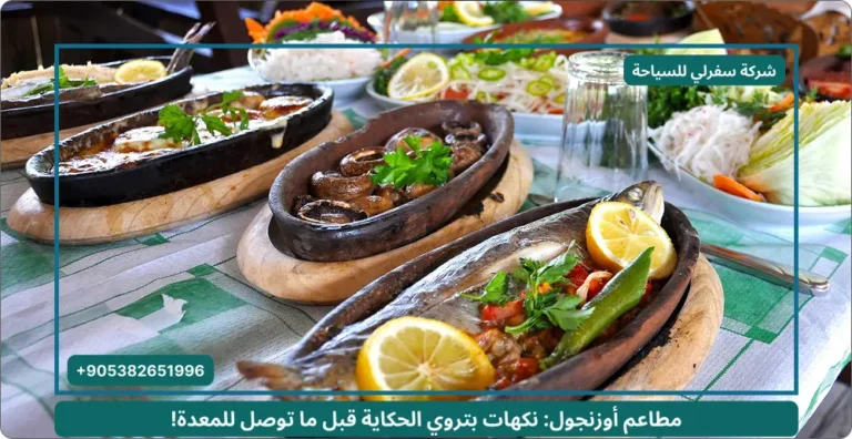 مطاعم أوزنجول: نكهات بتروي الحكاية قبل ما توصل للمعدة!